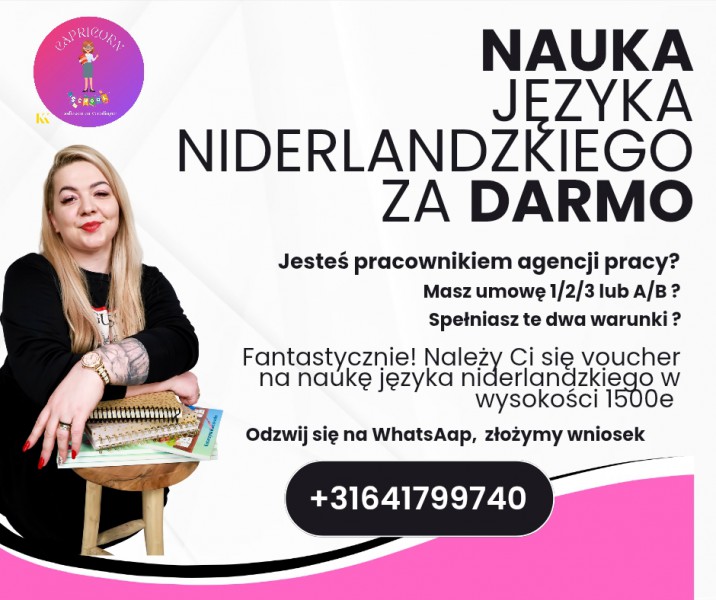 Nauka języka Niderlandzkiego OD PODSTAW!