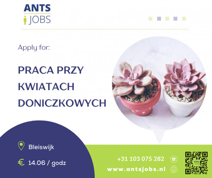 !!PRACA PRZY KWIATACH DONICZKOWYCH !! BLEISWIJK!!! €14,06/godz.
