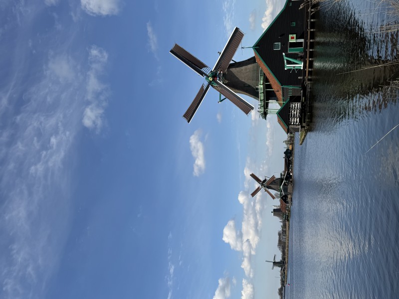 Para szuka domku lub mieszkania na wynajem Amsterdam Zaandam okolice !!!!!!