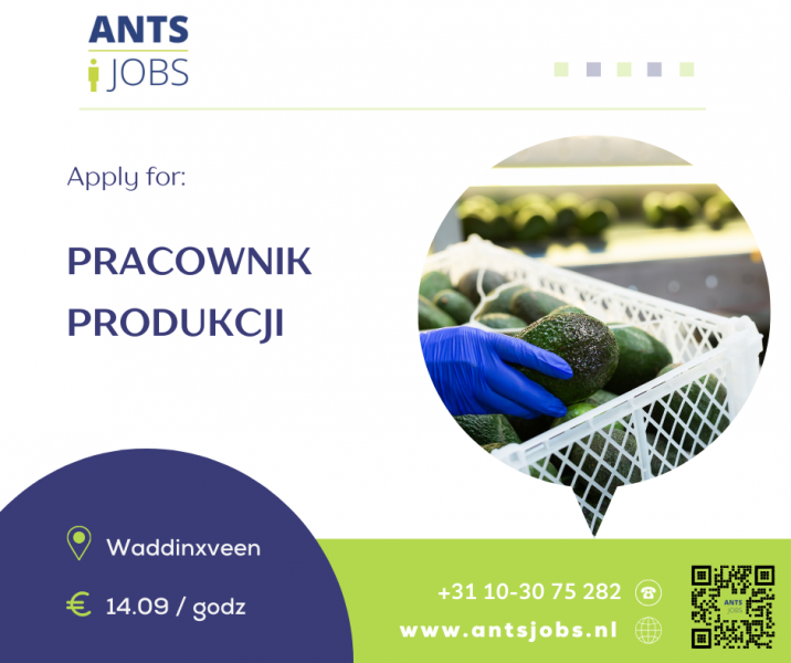 !!PRACOWNIK PRODUKCJII !! WADDINXVEEN !!