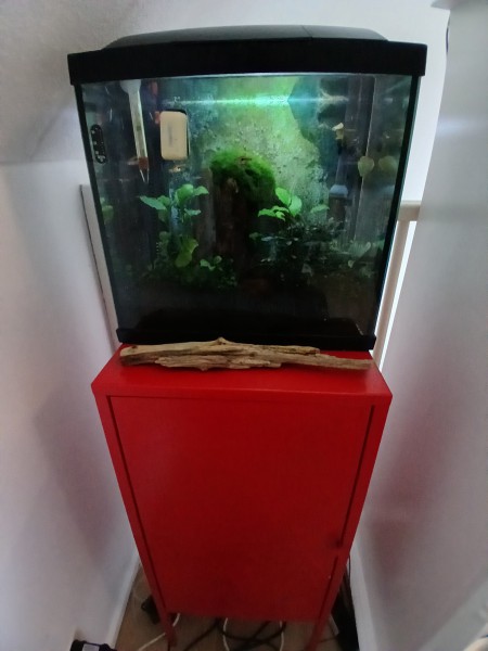 Akwarium kompletne 30L