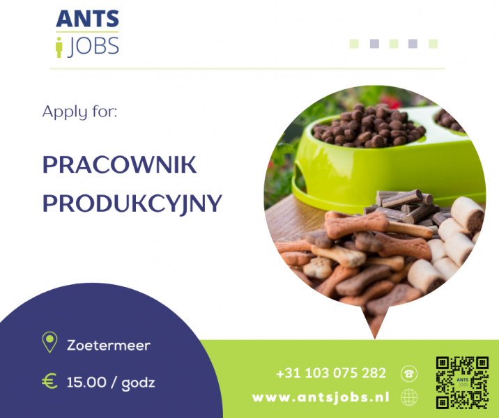 !! PRACOWNIK PRODUKCJI !! ZOETERMEER !!J WYMAGANY ĘZYK ANGIELSKI  !!