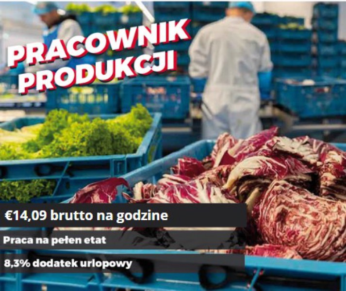 Pracownik produkcji (Ridderkerk)