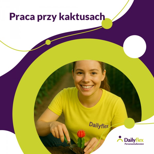 Praca przy kaktusach - stawka 14,40/godz. - Bleiswijk