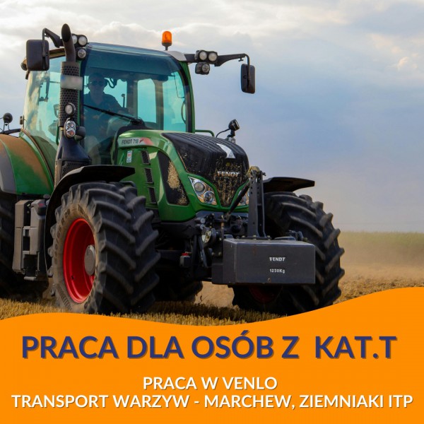 Przewozenie ładunków z punktu A do B z prawem jazdy kat T / Venlo