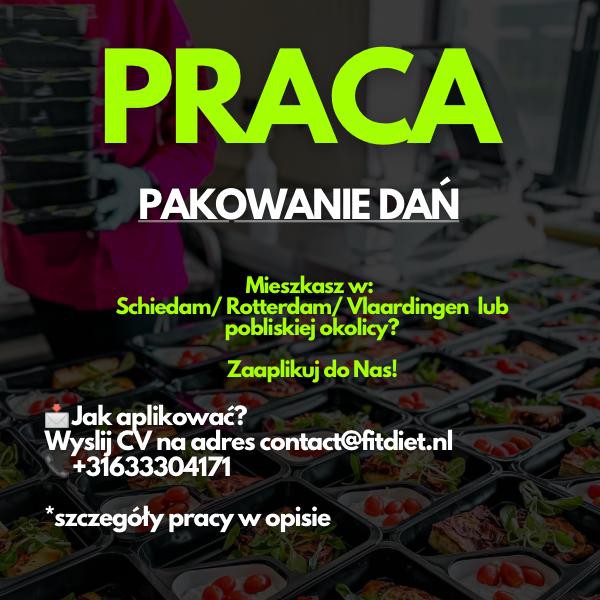 Catering- pakowanie dań- Schiedam