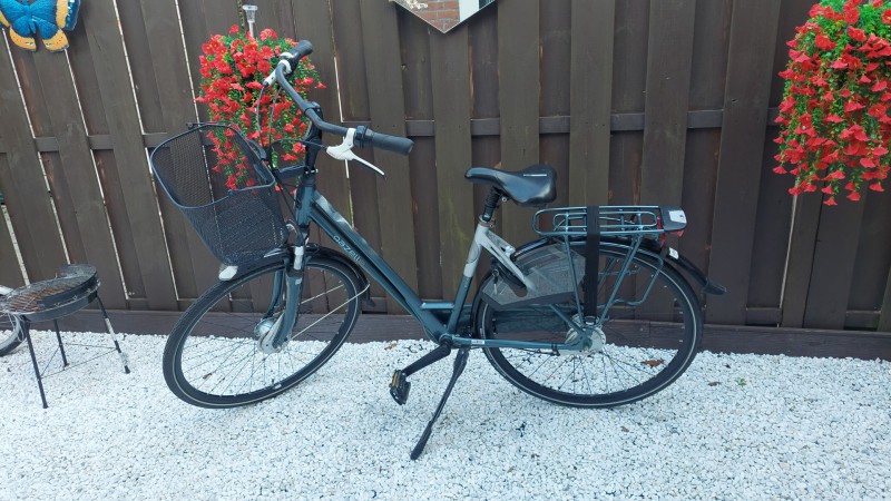 Gazelle Eclipse