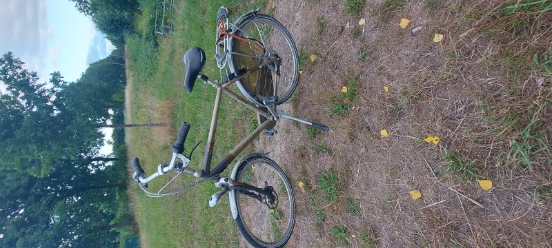 Meski rower Gazella