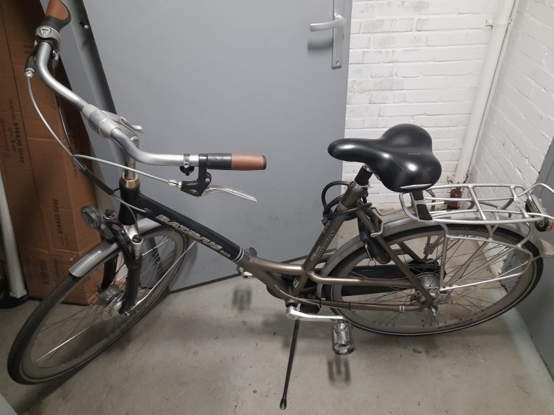 Batavus rower