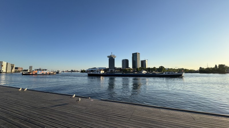 Szukamy domu na wynajem Zaandam okolice
