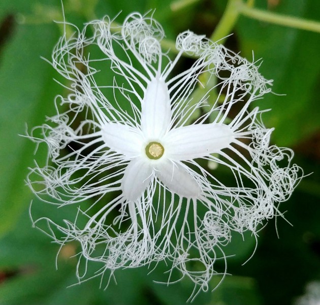 Trener oddechu, terapia oddechowa, terapia oddechowo- ruchowa
