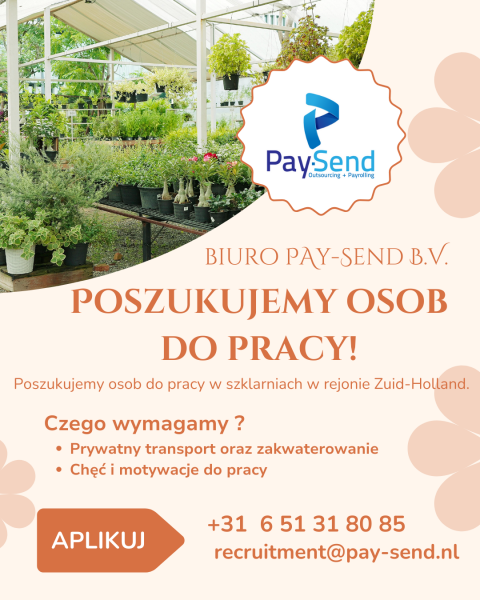 PRACE SZKLARNIOWE Zuid- Holland