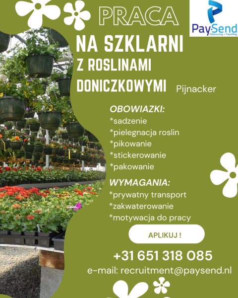 PRACA PRZY KWIATACH DONICZKOWYCH - PIJNACKER