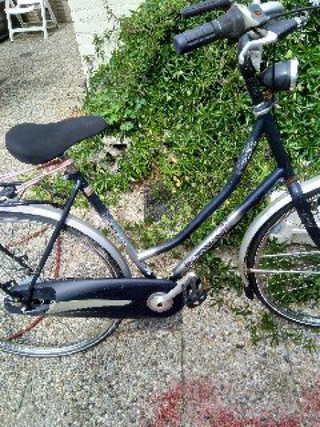 rower Batavus Future