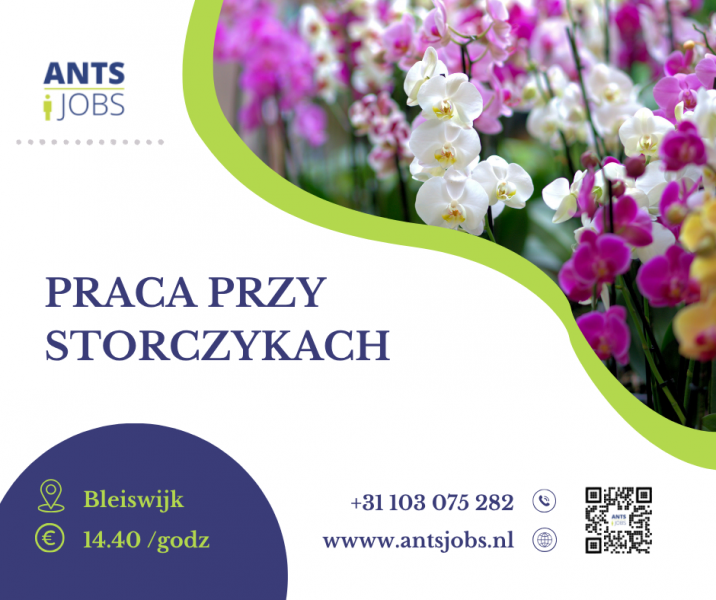 !! PRACA PRZY STORCZYKACH   !!  BLEISWIK !!