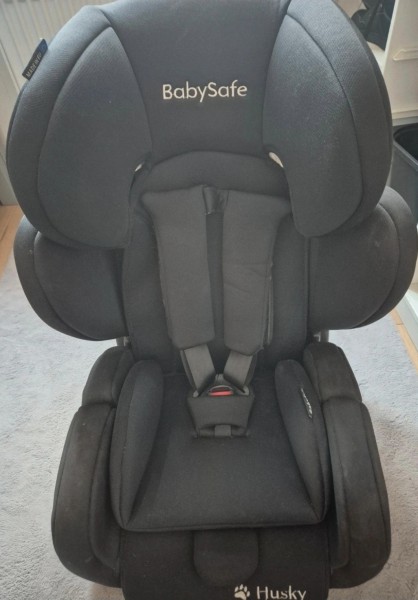 BabySafe Husky
