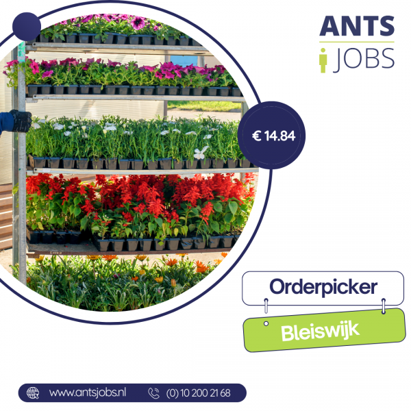 !! ORDER PICKER !! BLEISWIJK !! €14.84/godz. + dodatki za nadgodziny i weekendy !!