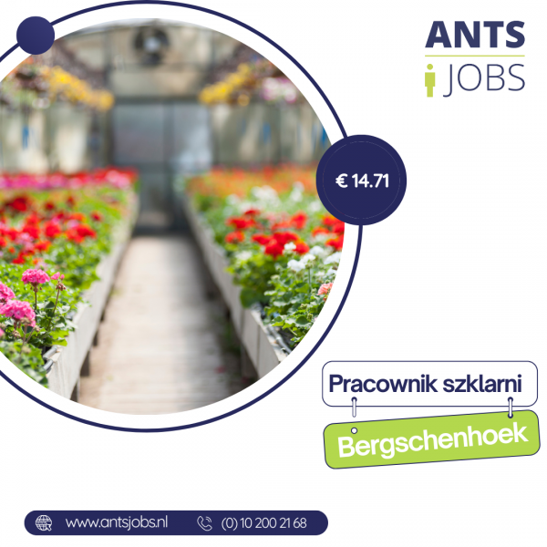 !! PRACA NA SZKLARNI Z KWIATAMI !! BERGSCHENHOEK!!