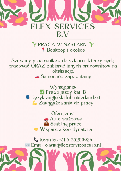 Boskoop i okolice :) POTRZEBNI LUDZIE DO PRACY :)