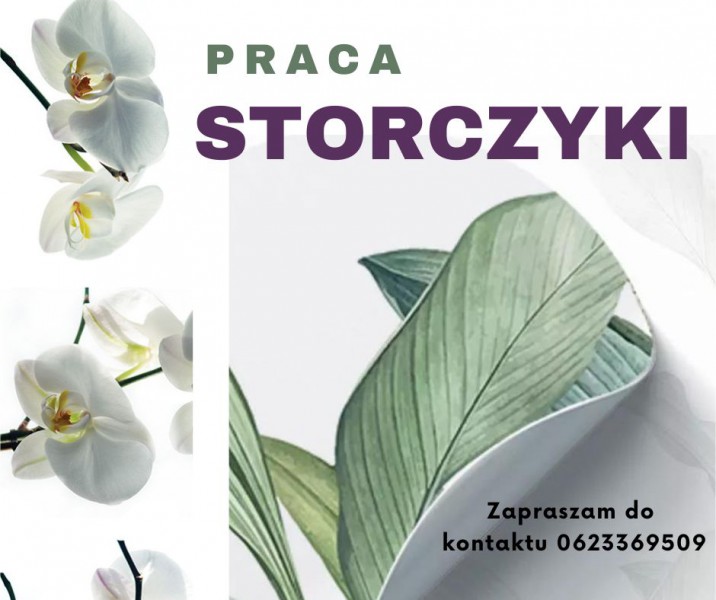 Praca w szklarni przy storczykach w miejscowości Berkel en Rodenrijs - całoroczna praca - €14,71/h