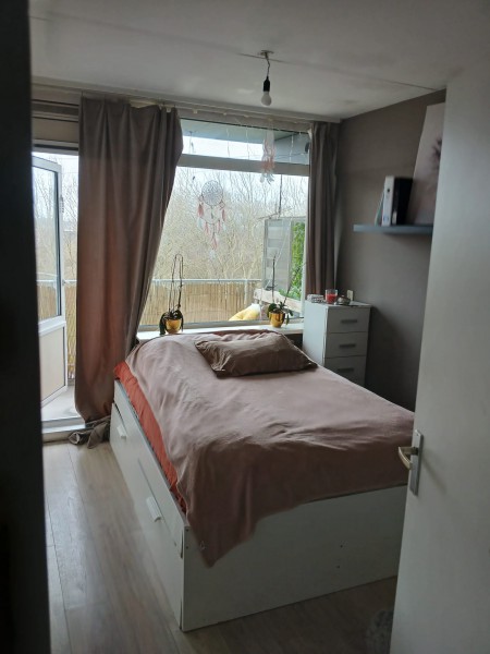 Pokój do wynajęcia dla dziewczyny  Drachten