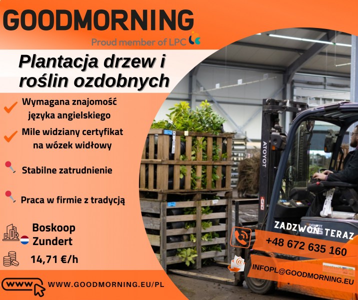 Szkółka Drzew i Roślin Ozdobnych - ZUNDERT