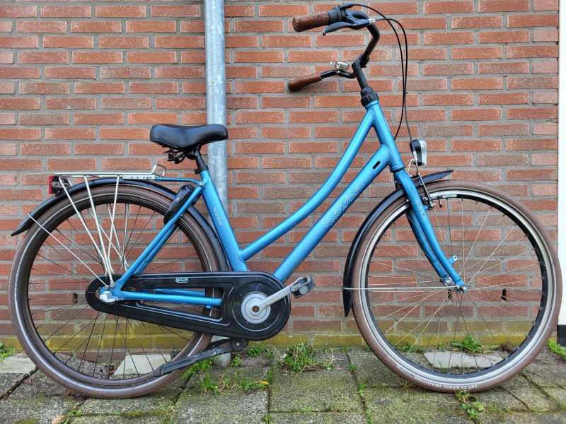 Piękna klasyczna holenderka