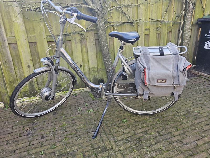 Gazelle damka elektryk