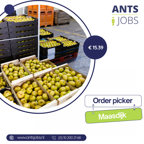 !! ORDER PICKER !! MAASDIJK !! MAGAZYN Z OWOCAMI !!