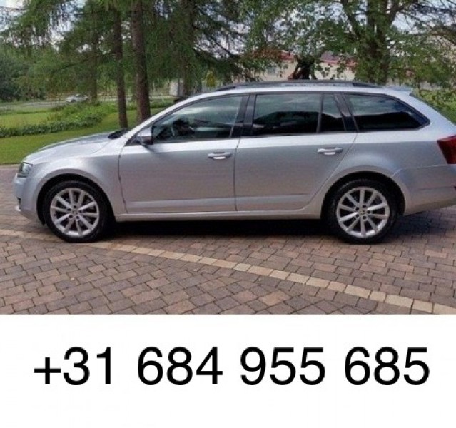 MAŁE PRZEPROWADZKI. Transport na terenie Holandii. Osoby i bagaż. Codziennie