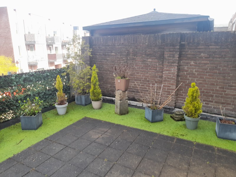 Oddam duża ilość kwiatów