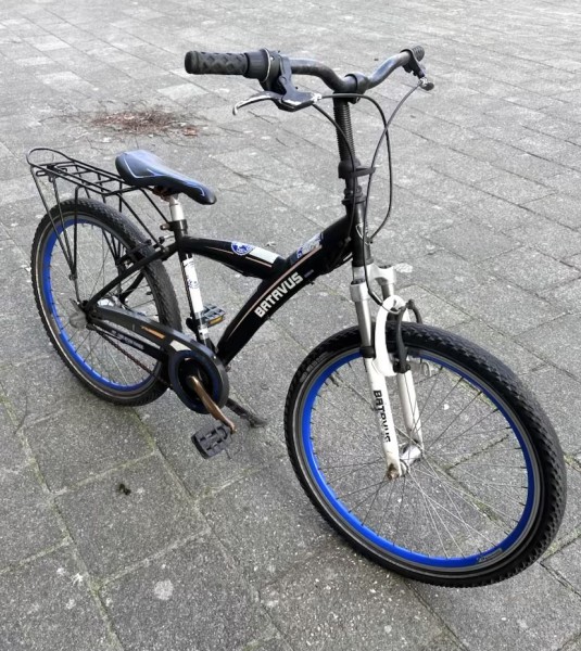 Rower - Batavus - 24 cale