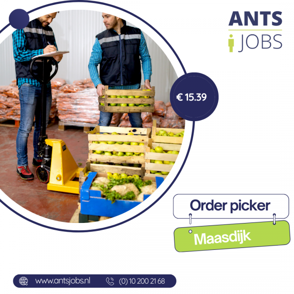 !! ORDER PICKER !! MAASDIJK !! MAGAZYN Z OWOCAMI !!WŁASNY TRANSPORT I ZAKWATEROWANIE  !!