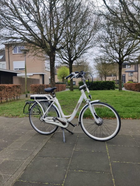 ELEKTRYK SPARTA AMAZON 36V