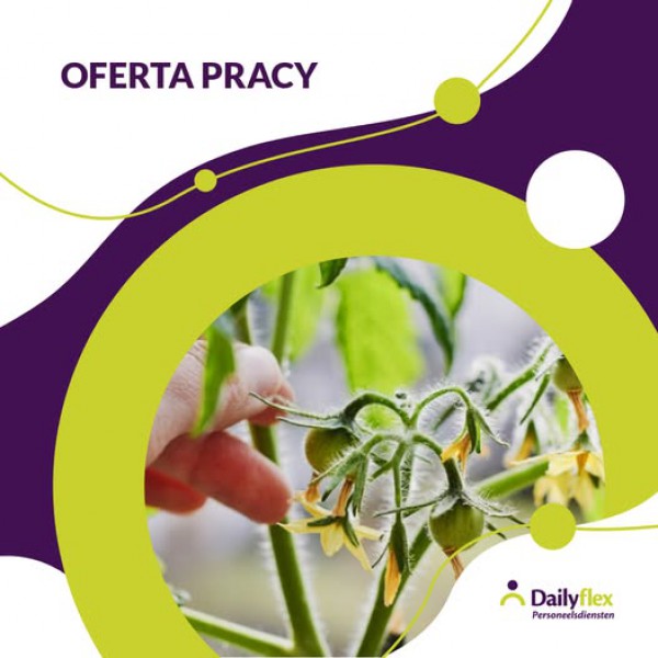 Praca przy nasionach / De Lier / stawka €16,19/godz.