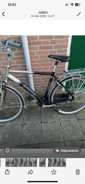 Batavus i Damka Holandia