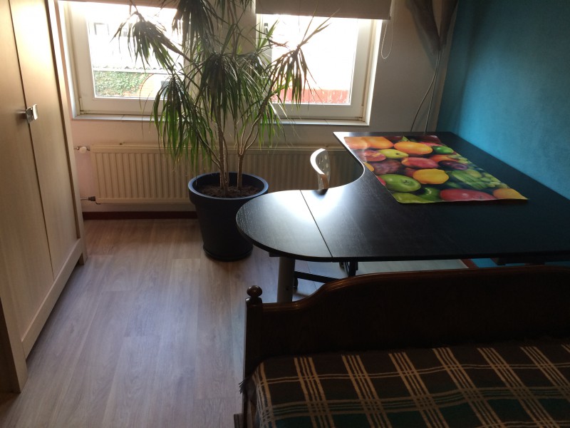 Pokoj tylko dla spokojnej kobiety do wynajecia