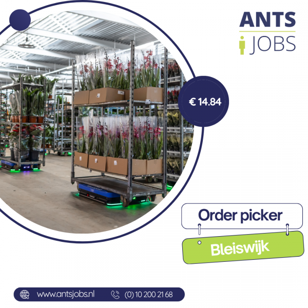 !! ORDER PICKER /MAGAZYN Z KWIATAMI !! WŁASNY TRANSPORT !!