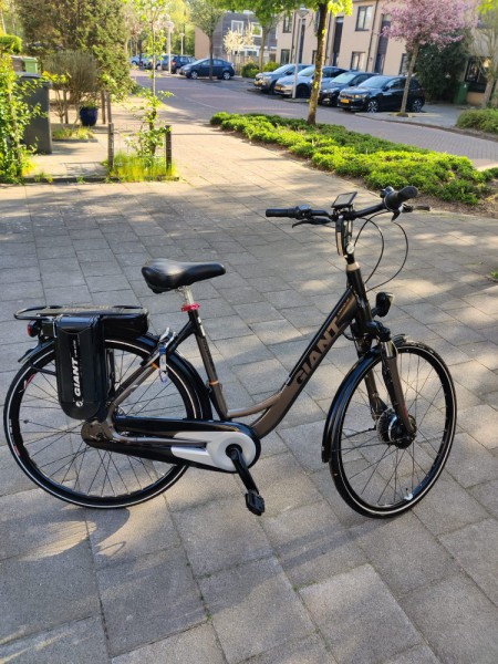 ELEKTRYK GIANT Ease 36V - dowóz