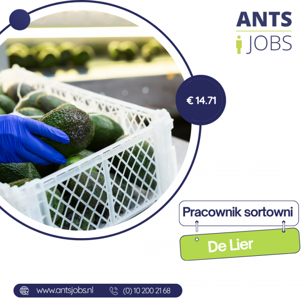 !! PRACOWNIK SORTOWNI !! DE LIER !! WŁASNY TRANSPORT I ZAKWATEROWANIE !!