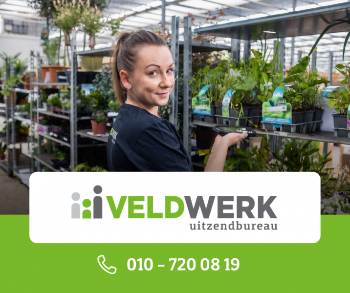 Orderpicker - kwiaty doniczkowe (webshop)