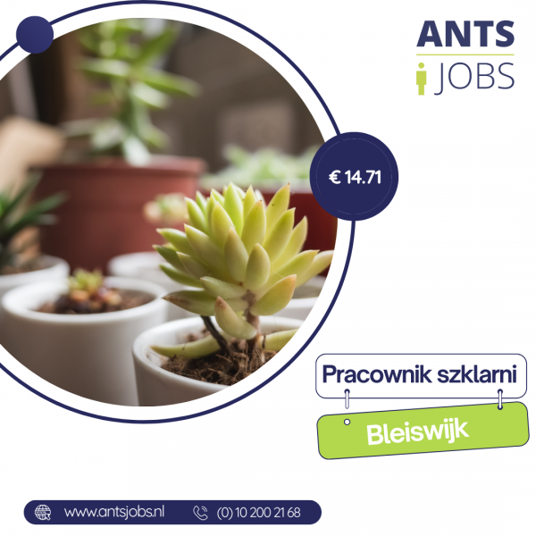 !! PRACA NA SZKLARNI Z KWIATAMI !! BLEISWIJK !!