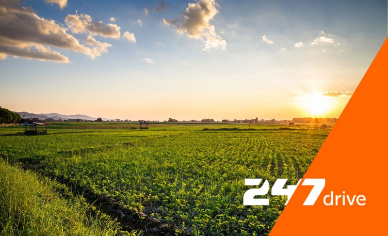 Międzynarodowy Kierowca CE | Transport produktów rolnych | €900-€1000+ netto/tydzień