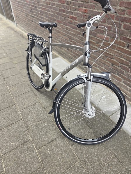 Gazelle