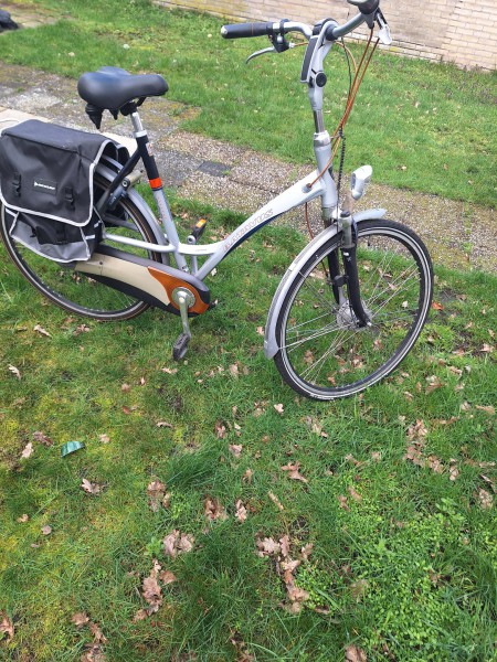 Rower damski Batavus