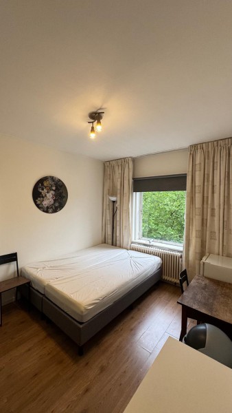 Amsterdam pokoj do wynajecia