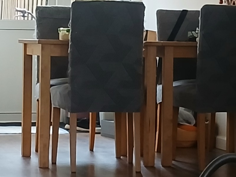 Pokój od zaraz Den Haag
