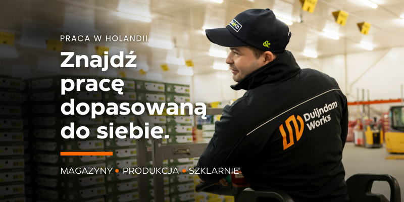 Order Picker (EPT) - magazyn logistyczny / Waddinxveen / stawka 15,35/h