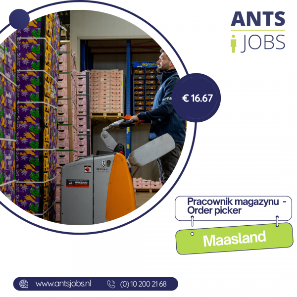 !! PRACOWNIK MAGAZYNU / ORDER PICKER !! MAASLAND !! WŁASNY TRANSPORT I ZAKWATEROWNIE !!