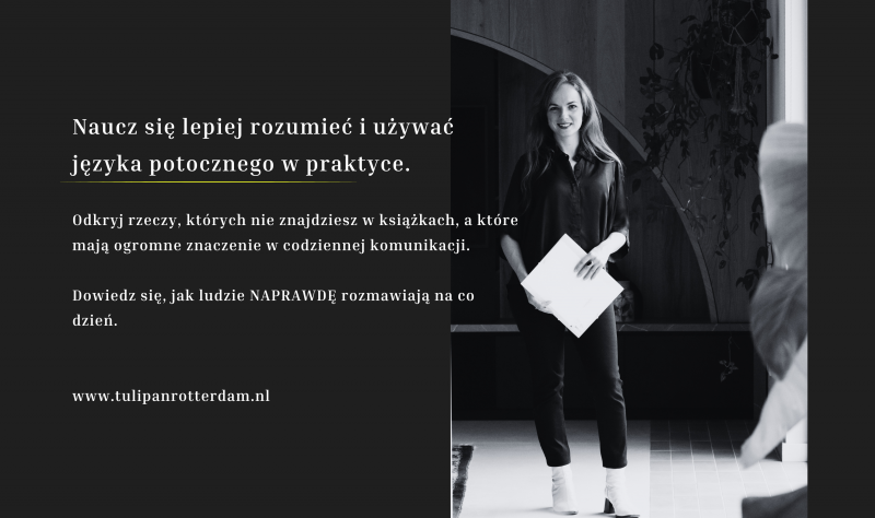Podstawy niderlandzkiego języka potocznego - Kurs o języku mówionym